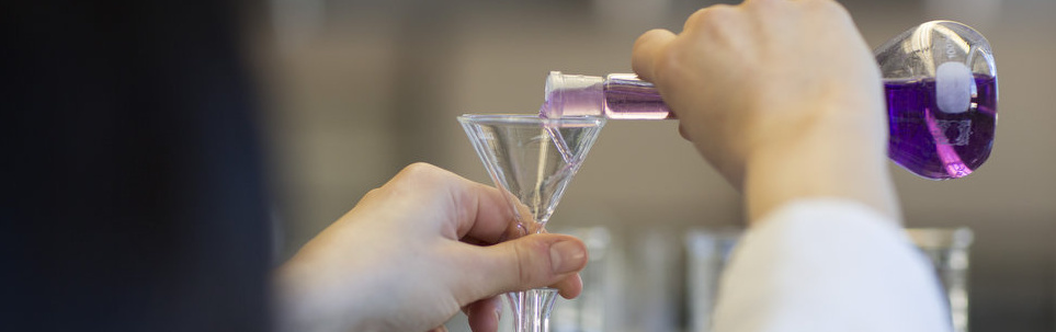 Eine Person schüttet eine lila Flüssigkeit aus einem Erlenmeyerkolben in einen gläsernen Trichter.