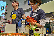 Zwei Personen experimentieren im Labor