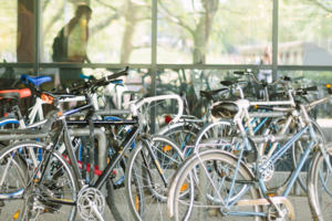 Geparkte Fahrräder vor einer Glasfront, in der sich Bäume spiegeln