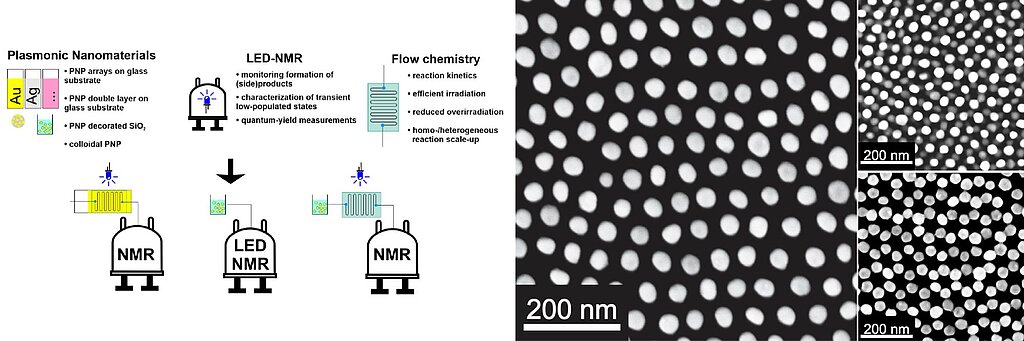 Mechanistische Untersuchung und Optimierung plasmonengetriebener Reaktionen durch In-situ-Analytik und Flow-Chemie Zwei Abbildungen. Links: Schaubild: Oben links: ein gelber Balken beschrieben Au, ein grauer Balken beschrieben mit Ag, ein rosa Balken, darunter gelbe Kreise und ein blauer Balken gefüllt mit gelben Kreisen, Text: Plasmonic Nanomaterials: PNP arrays on glass substrate, PNP double layer on glass substrate, PNP decorated SiO2, colloidal PNP Mitte: ein oben abgerundetes Rechteck, das auf zwei Füßen steht, mit einer Glühbirne darin, Text: LED NMR: monitoring formation of (side)products, characterization of transient low-populated states, quantum-yield measurements links: ein blaues Rechteckt, darin eine Spirale, Text: Flow-chemistry: reaction kinetics, efficient irradiation, reduced overirradiation, homo-/heterogeneous reaction scale-up ein Pfeil zeigt auf die Abbildungen darunter Unten: 1. eine Glühbirne, darunter die Spirale in gelb, verbunden mit dem oben abgerundeten Rechteck auf zwei Füßen, darin der Text NMR, 2. ein blauer Balken gefüllt mit gelben Kreisen verbunden mit dem oben abgerundeten Rechteck auf zwei Füßen, darin der Text LED-NMR, 3. ein blauer Balken gefüllt mit gelben Kreisen, verbunden mit der Spirale in blau, darüber eine Glühbirne, die Spirale ist verbunden mit dem oben abgerundeten Rechteck auf zwei Füßen, darin der Text NMR. Rechts: Drei elektronenmikroskopische Aufnahmen von Gold-Nanopartikeln in Schwarz-Weiß: Die erste zeigt mehrere Reihen der Partikel nebeneinander, die zweite zeigt die Partikel übereinander, die dritte zeigt eine Wabenstruktur