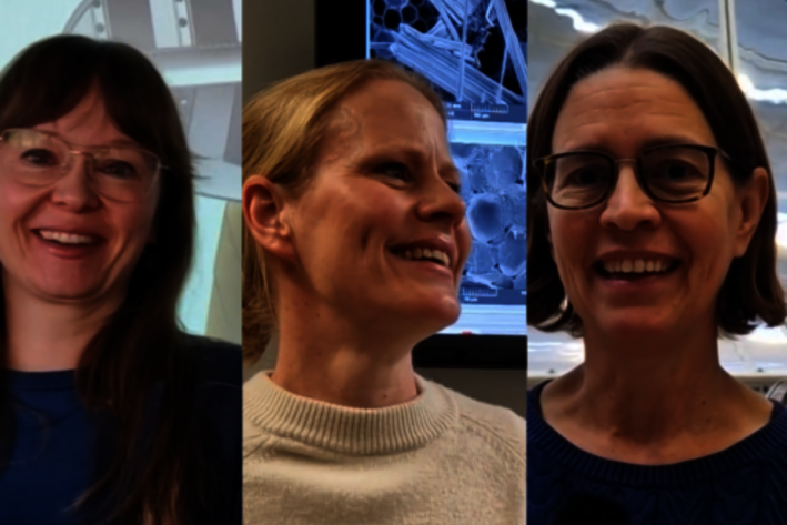 Collage: Porträts von drei Frauen, die lachen