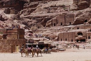 Kamele vor einer Felsenwand in Jordanien