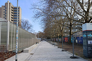Breiter gepflasterter Fußweg, recht gesäumt von hohen Platanen, links Gebäude, 