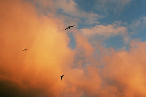 Studierende präsentieren über 100 Fotografien in einer Sammelausstellung (Foto: André Stahlmann)