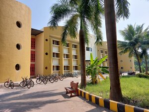 The picture shows a campus with palm trees in the front and a yellow building in the back with bikes in front of it.