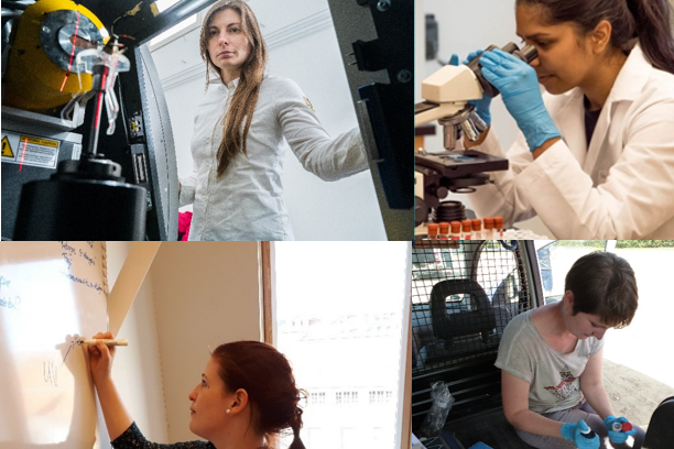 Vier Promovendinnen der Beuth Hochschule Fotos von vier Promovendinnen bei der Arbeit