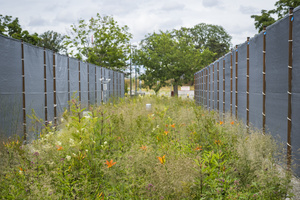 Schmaler Streifen mit Wiesenblumen und Messgeräten, umrandet von Schutzzäunen