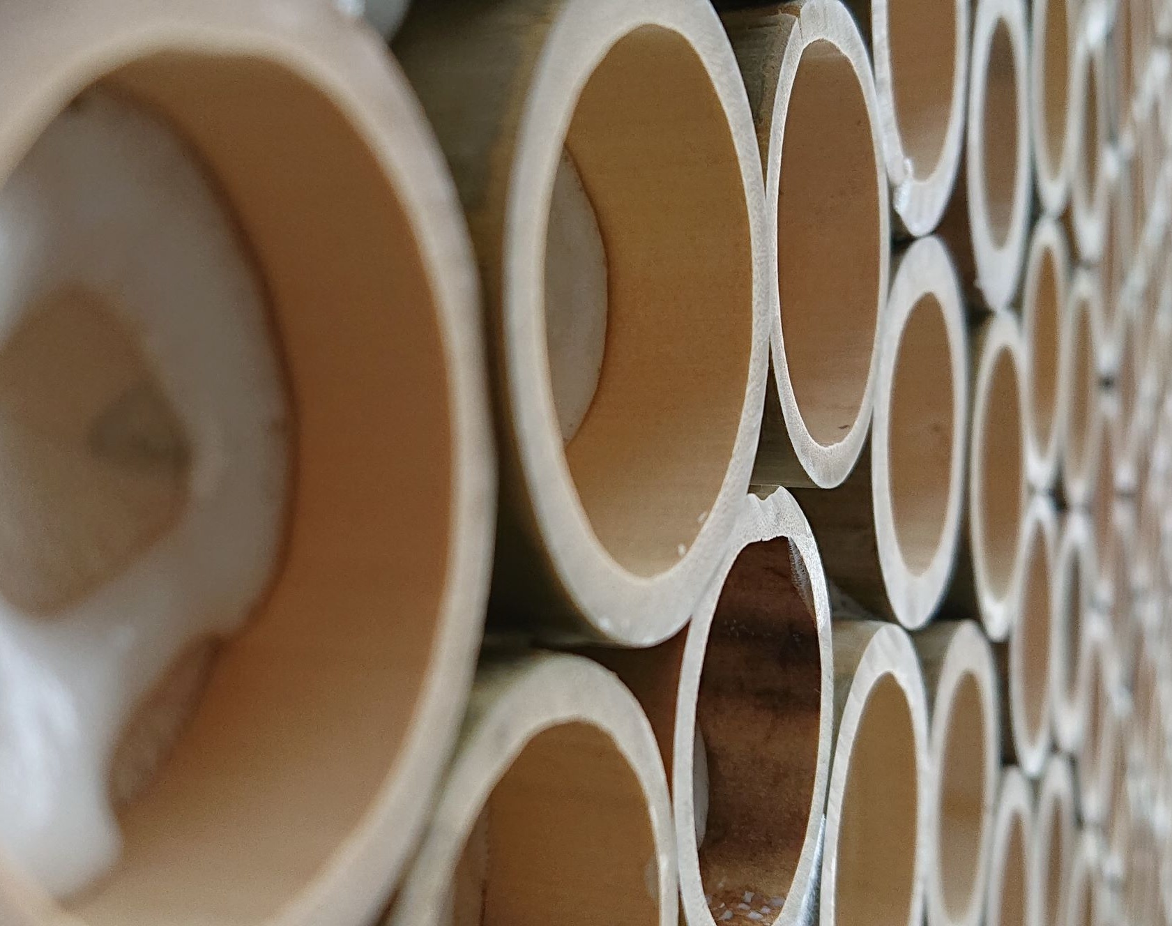 Wabenstruktur aus Bambus