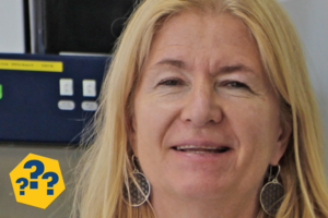 Prof. Dr. Elisabeth Grohmann