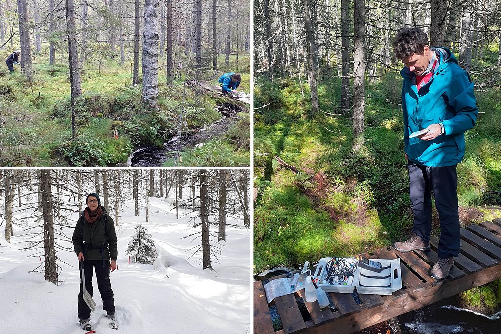 ReDOCS Drei Fotos: Links oben: Zwei Menschen in einem Moor. Links unten: Der Fluss Krycklan in Schweden. Rechts: Prof. Dr. Benny Selle auf einer Holzbrücke in einem Moor. Vor ihm auf dem Boden ein geöffneter Koffer mit Messinstrumenten darin.
