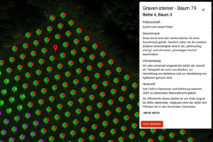 Screenshot App "Stark wie eine Baum"