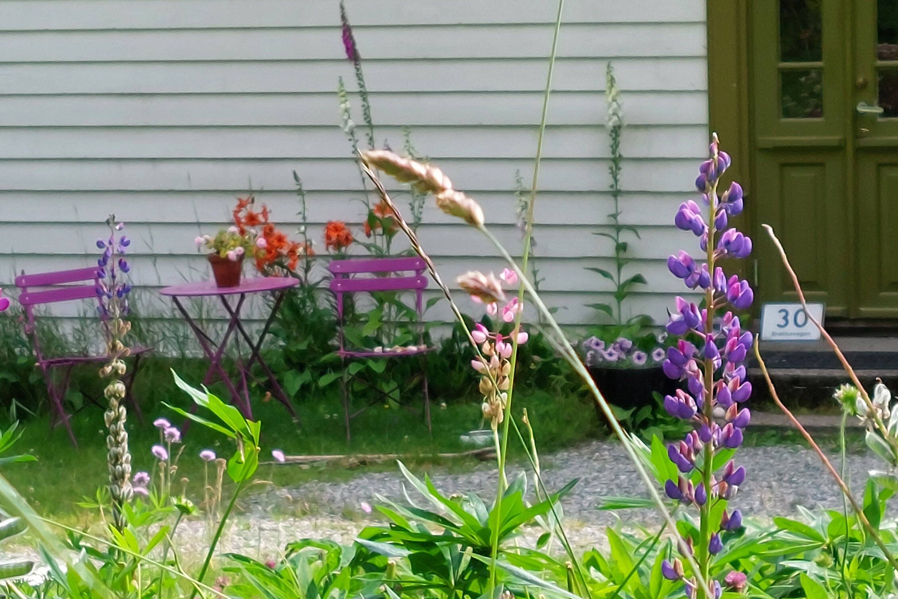 Das Foto zeigt den Blick in einen kleinen Garten. Durch Blumen und Gras im Vordergrund blickt man auf eine Haustür mit der Hausnummer 30 auf der rechten Seite und zwei kleine Gartenstühle und einen Gartentisch in Lila auf der linken Seite. Auf dem Gartentisch und im Hintergrund sind weitere Blumen und der Garten ist üppig grün. Das Foto soll an Südfrankreich erinnern.
