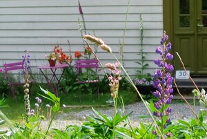 Das Foto zeigt den Blick in einen kleinen Garten. Durch Blumen und Gras im Vordergrund blickt man auf eine Haustür mit der Hausnummer 30 auf der rechten Seite und zwei kleine Gartenstühle und einen Gartentisch in Lila auf der linken Seite. Auf dem Gartentisch und im Hintergrund sind weitere Blumen und der Garten ist üppig grün. Das Foto soll an Südfrankreich erinnern.