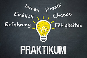 Eine gezeichnete Glühbirne, darunter steht Praktikum und rundherum: Erfahrung, Einblick, lernen, Praxis, Chance, Fähigkeiten