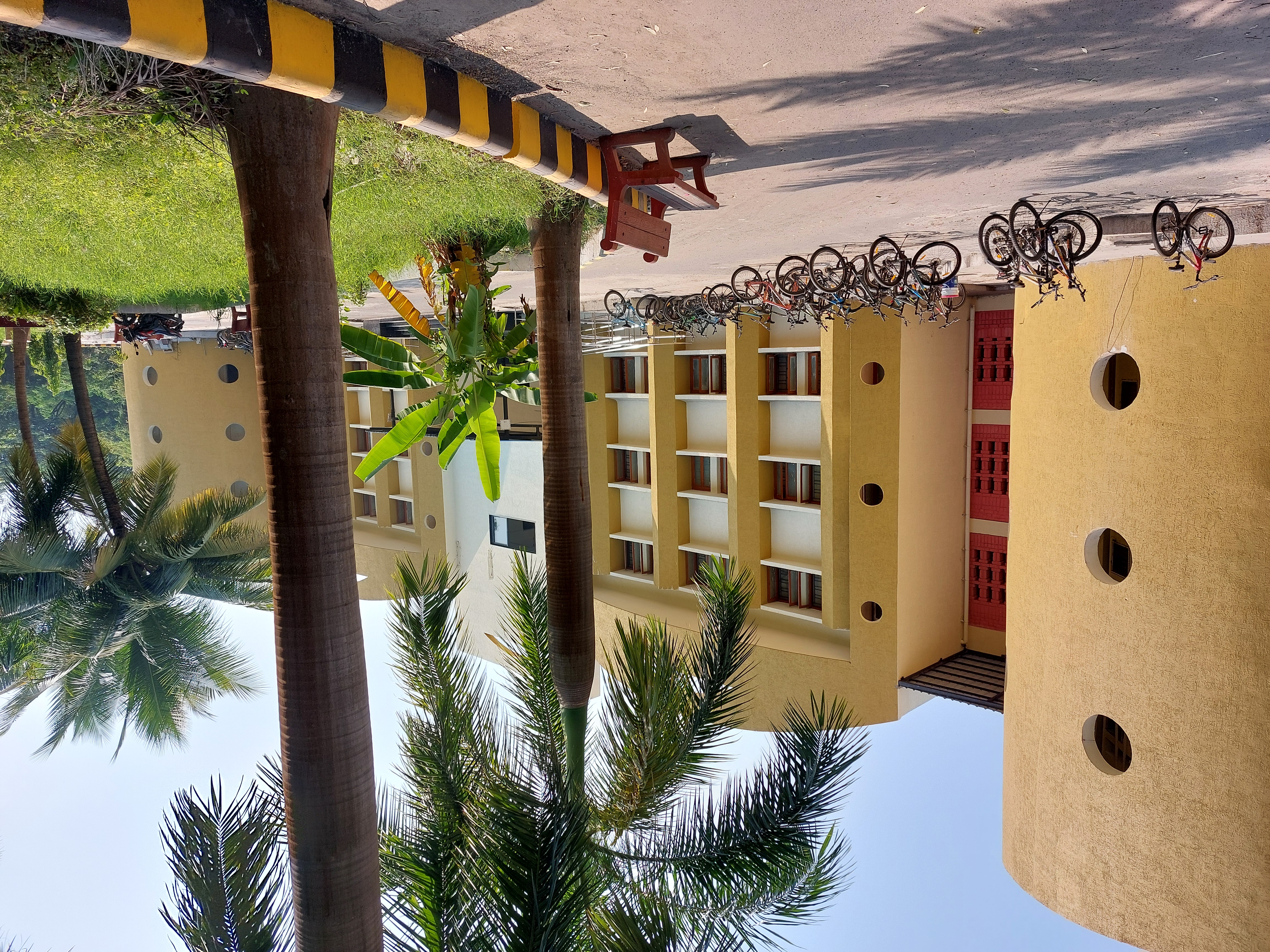 The picture shows a campus with palm trees in the front and a yellow building in the back with bikes in front of it.