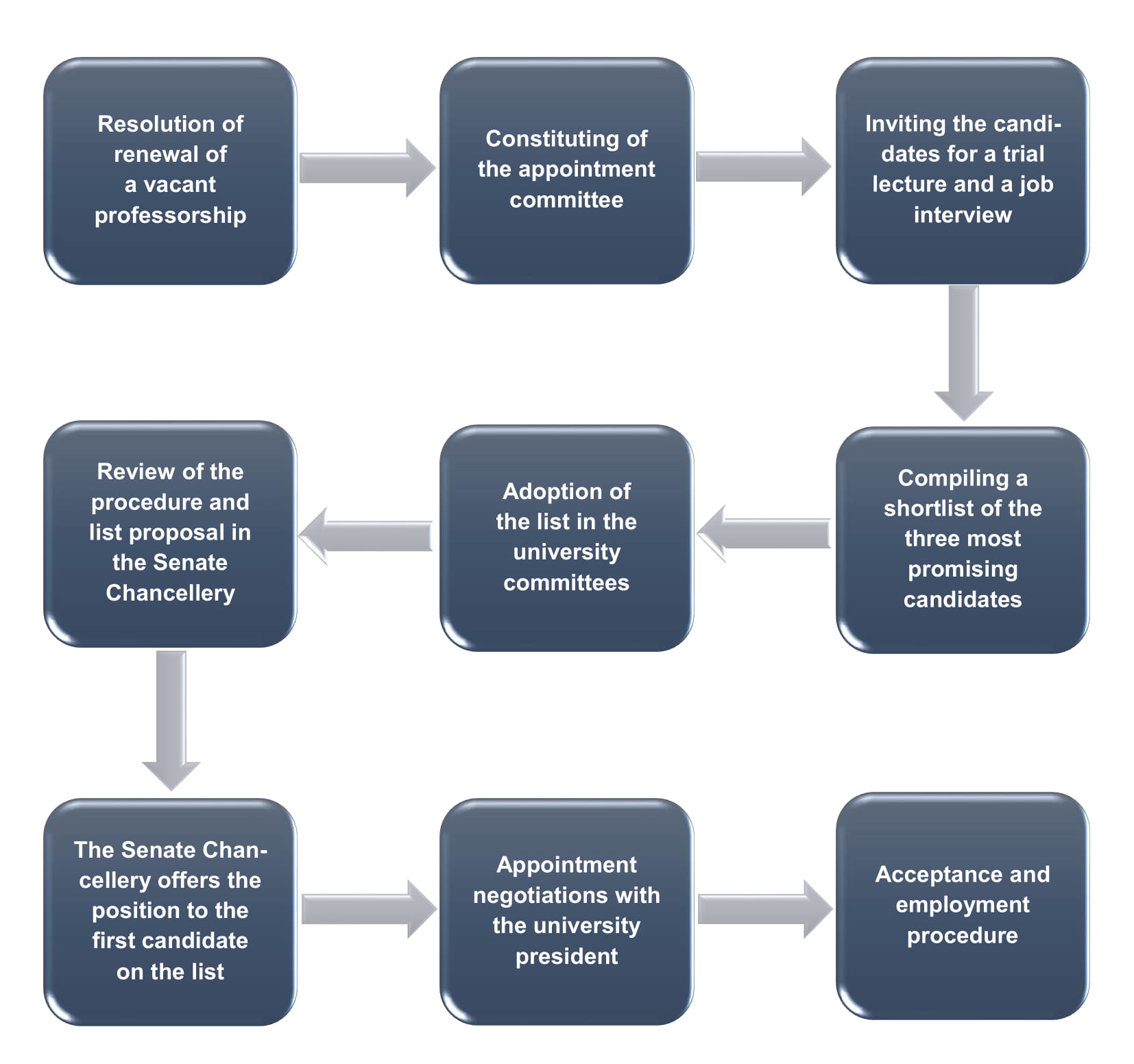 Path diagram showing the steps it takes to appoint a new professor
