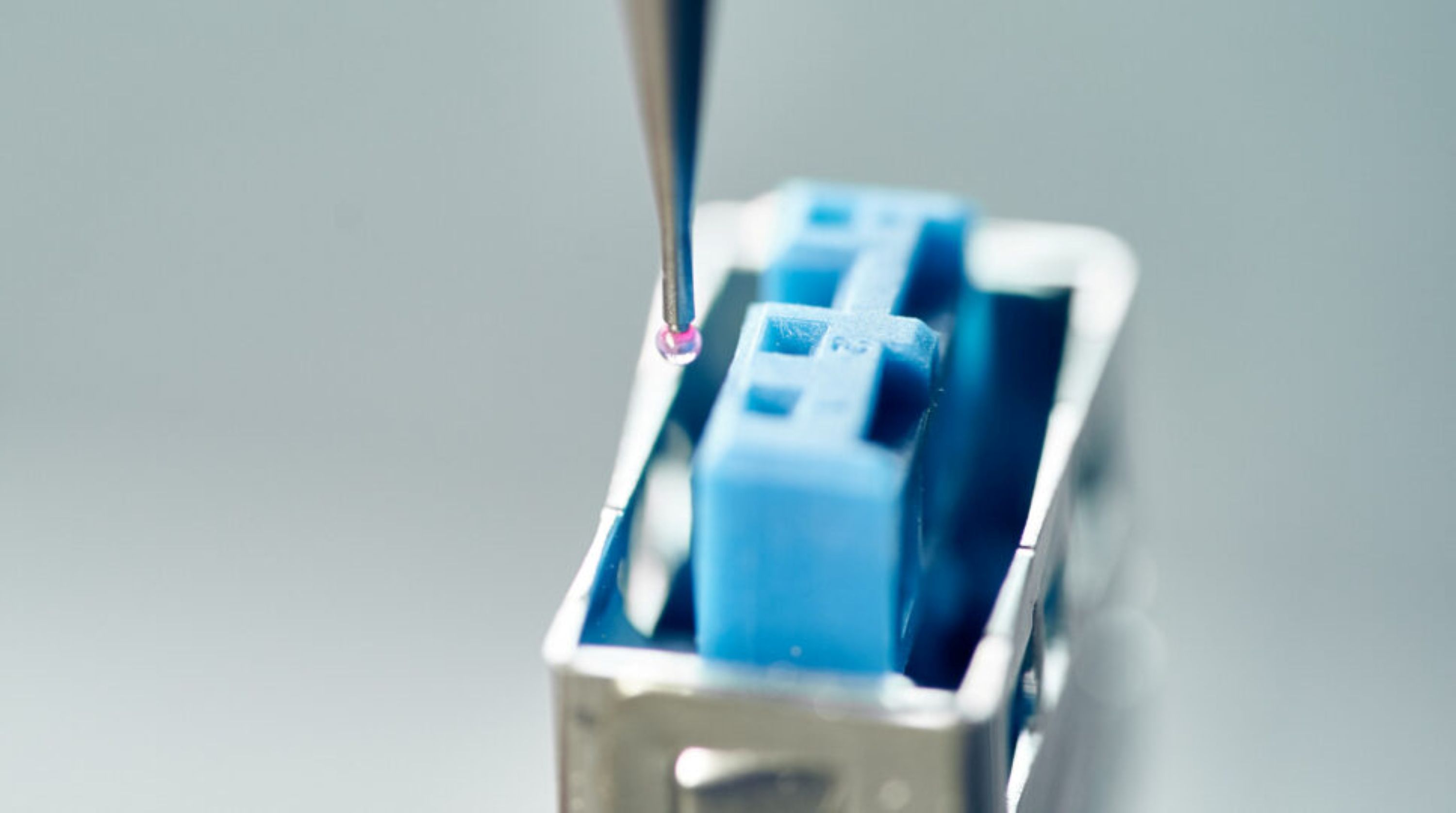 Nahaufnahme eine Steckverbindung, die aus zwei Komponenten besteht: Der Rahmen ist aus Metall, das Innere aus Kunststoff. Von oben ragt eine Messsonde ins Bild.