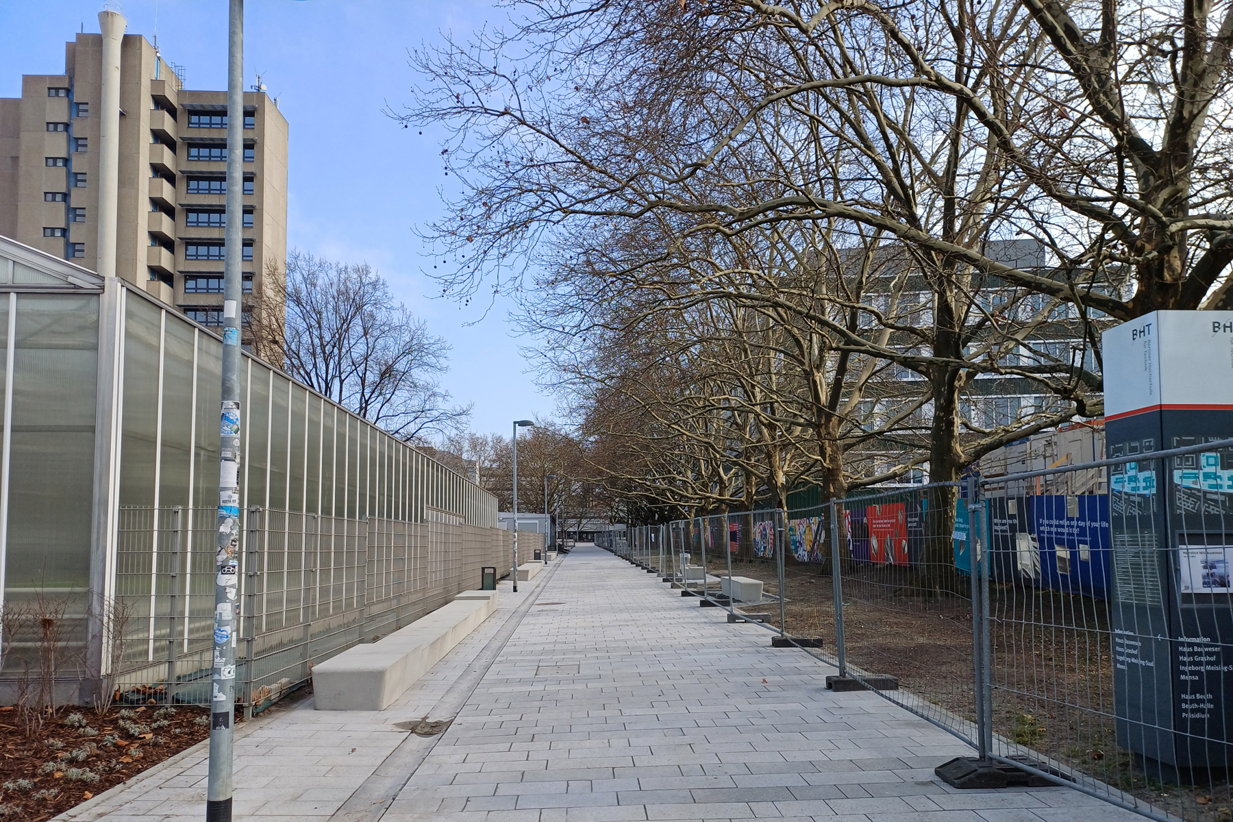 Breiter gepflasterter Fußweg, recht gesäumt von hohen Platanen, links Gebäude, 