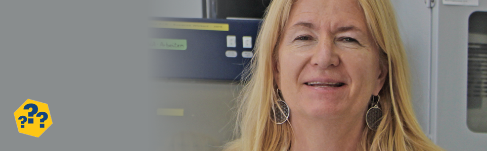 Prof. Dr. Elisabeth Grohmann