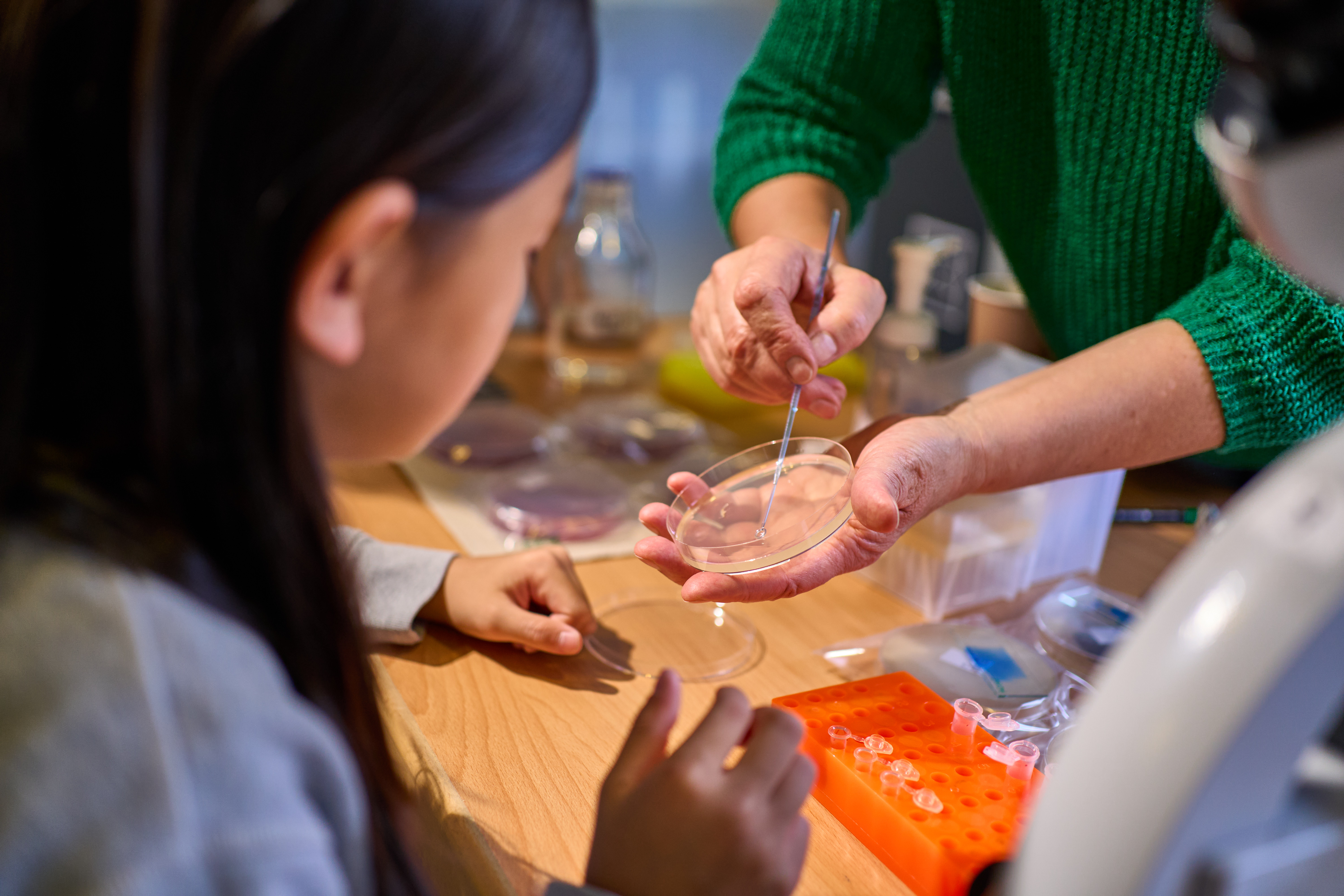 Ein Mädchen betrachtet eine Petrischale