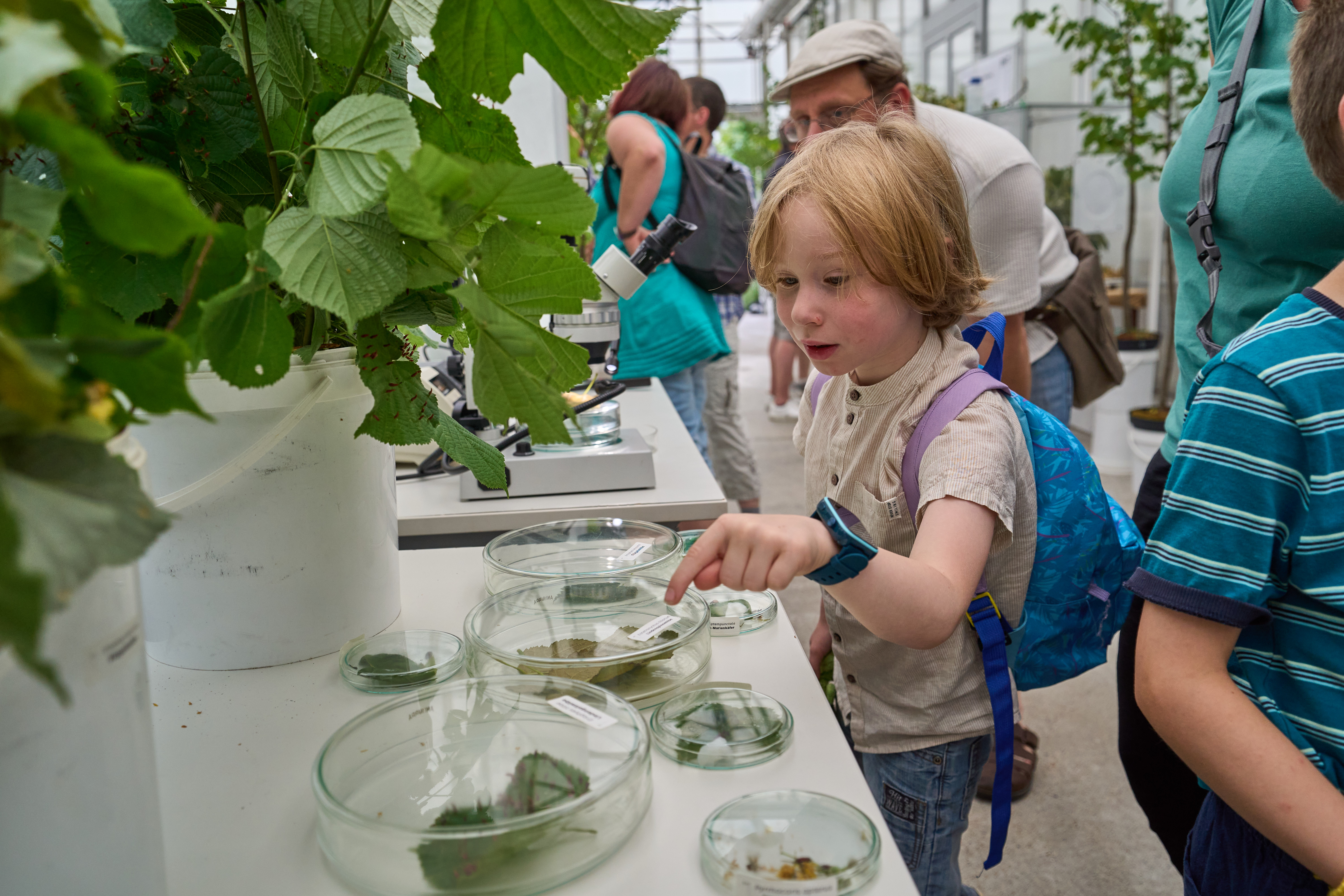 Kind zeigt auf Blätter in einer Petrischale.
